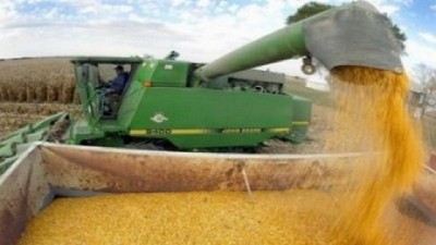 Santa Fe: se reactivó la cosecha en el centro-norte