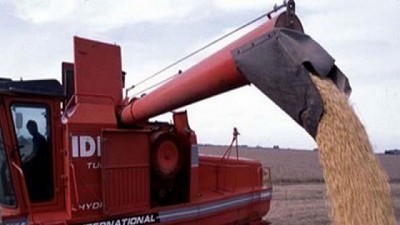 Recortan la producción de granos gruesos de Brasil