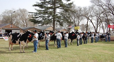 Fiesta Nacional del Holando Argentino