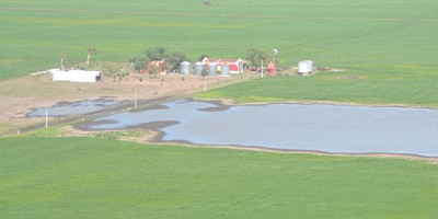 Emergencia Agropecuaria: prorrogan recepción de declaraciones de daños
