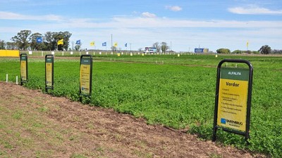 Barenbrug Palaversich vuelve a las exposiciones en AgroActiva