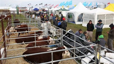 Con los faros puestos en el largo plazo, la ganadería apuesta a crecer