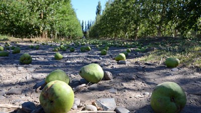 CAME: las economías regionales siguen perdiendo rentabilidad y agravan su crisis