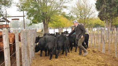 Se abre un nuevo ciclo para la ganadería mendocina