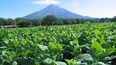“El mundo mira nuevamente la producción agropecuaria argentina”; por A. Ramírez