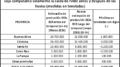 Las perdidas en soja por las lluvias: 5,7 M/Tns, U$S 2.200 M y 12% de exportaciones