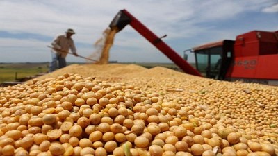 Se expande en el país el grupo del nuevo ministro de Agricultura de Brasil