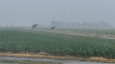 Clima: El frio llego pero la nubosidad se mantiene - Agrositio