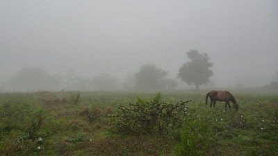 Radio: ¿Están dadas las condiciones climáticas para normalizar la cosecha?; con G. Heinzenknecht