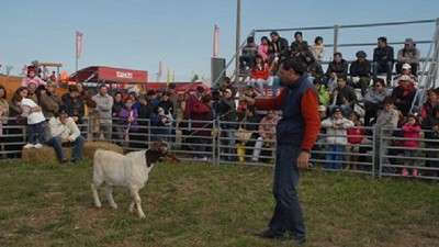 Boer Del Impenetrable en AgroActiva