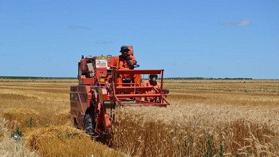 Buscan potenciar la producción de cultivos de invierno en la Provincia