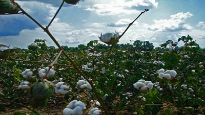 El INTA estará presente en Agronea 2016