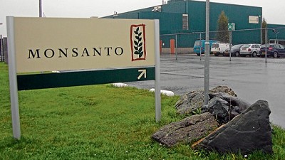 Monsanto desestimó la “baja oferta” de Bayer