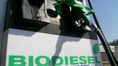 Fuerte crecimiento de la producción de biodiésel durante lo que va del año