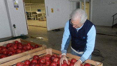 San Juan inició la exportación de granadas para uso industrial con certificación del Senasa