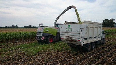 Los contratistas son cada vez más importantes para el negocio