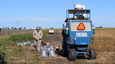 La cadena agroindustrial de punta a punta