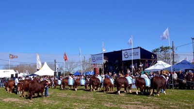 Radio: ¿Qué precios alcanzó la Braford en su encuentro internacional?; con M. Paris