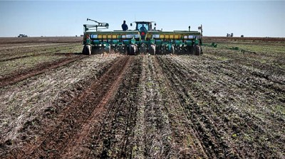 El dilema de la cebada: ¿seguirá en Primera?