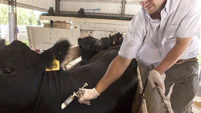 Buenos Aires será sede de un curso-taller de evaluación económica de programas sanitarios, organizado por el CVP y el IICA