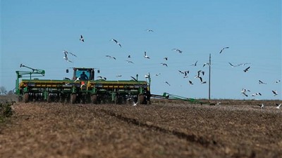 Vuelven los inversores al agro para tomar revancha