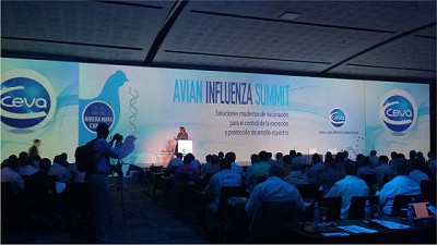 Ceva anunció sus planes para desarrollar una nueva vacuna contra la Influenza Aviar