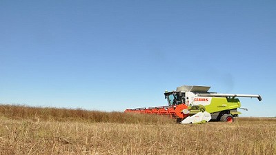 Con el draper Hera coseché 25% más de superficie