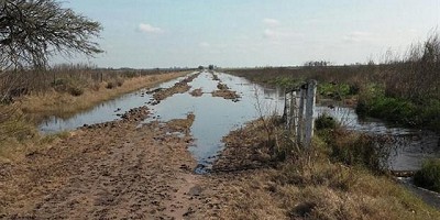 Alertan que en la zona núcleo podrían dejarse de sembrar 150.000 hectáreas con trigo