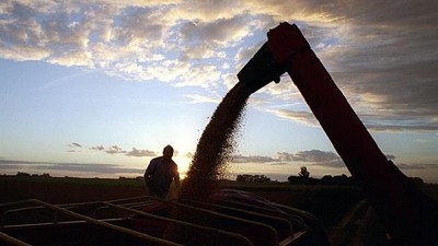Consejos para ganar con los cereales
