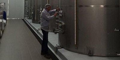 Las riojanas más famosas: las aceitunas quieren recuperar los mercados mundiales