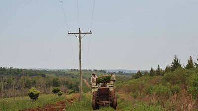 Obras de electrificación rural en Misiones