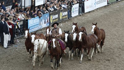 Con el tradicional corte de cintas, hoy abre la Exposición Rural