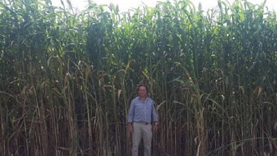 En los lotes puntanos, una apuesta por la agricultura extrema