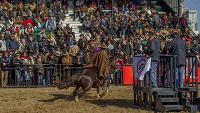 Gran convocatoria de público durante el primer fin de semana de la Exposición Rural