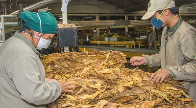 La Provincia de Tucumán gestionará fondos nacionales para la cooperativa de tabacaleros