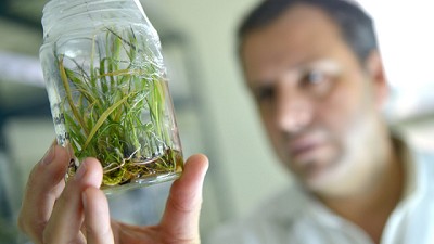 Biotecnología: Tercera apertura a comentarios del público