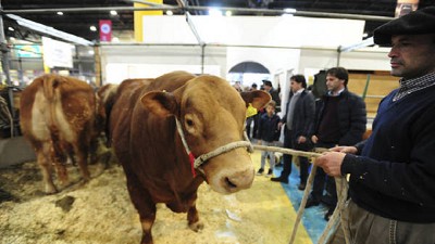 La ganadería mira otra vez al frente y la genética ya hace punta