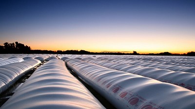 Rompen tres silobolsas con soja en el sur de Córdoba