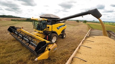 Por el derrumbe de precios, la soja local vale u$s 1200 millones menos que a principios de mes