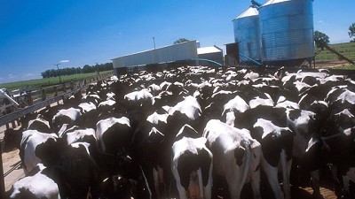 Se tomó completa la línea de créditos para tambos