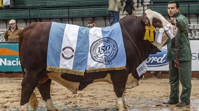 Por la mejora de la ganadería, prevén buenos precios en los remates de la Exposición Rural