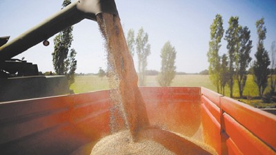 Avanzan con investigación para frenar el mercado ilegal de semillas