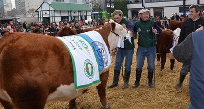 Subieron hasta 40% los precios promedio en la Exposición Rural