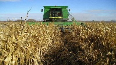 En el primer semestre del año, las exportaciones de maní, maíz y trigo crecieron 41%, 18% y 127% respectivamente