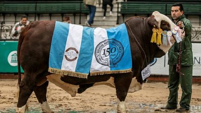 Las dos razas que más crecieron coronaron a sus campeones