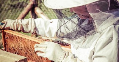 Sin ser profeta en su tierra, la miel argentina busca dominar el mundo