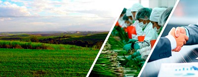 Agenda para mejorar la competitividad de la Agroindustria; por Arturo Navarro