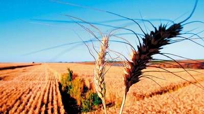 Brasil prevé la peor cosecha anual de las últimas dos décadas