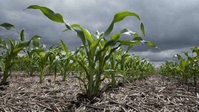 Después del viento en contra, la vuelta del optimismo al campo