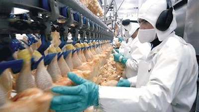 Preocupa a industriales locales la importación de pollos de Brasil